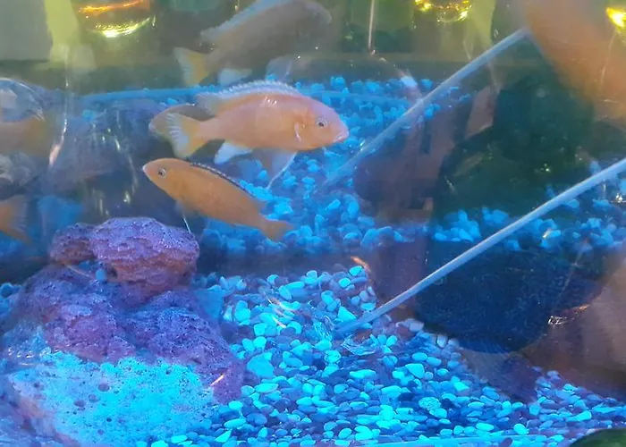 Kerme Ottoman Hotel Akyaka (Mugla)