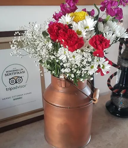 Kerme Ottoman 4* 아키아카